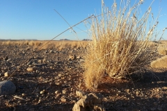 20130615_071558