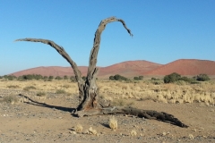 20130615_080230