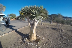 DCIM100GOPROGOPR0412.JPG