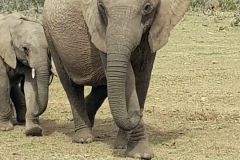 South Africa