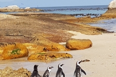 South Africa