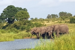 South Africa