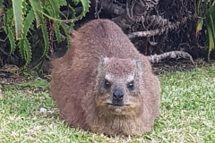 South Africa