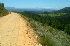 SA-nature