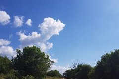 20180417_143756